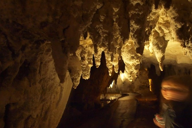 Waitomo Glowworm Caves In a Private Small Group Tour-Auckland. - Entering a cave formed over 30 million years