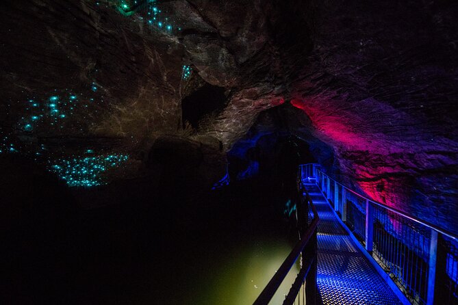 Waitomo Glowworm & Ruakuri Twin Cave Experience - Small Group Tour From Auckland - The key points at a glance