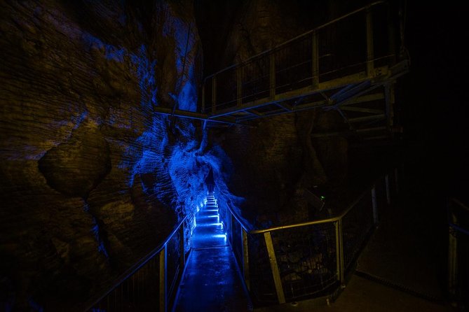 Waitomo Glowworm & Ruakuri Twin Cave Experience - Small Group Tour From Auckland - Coffee, comfort stops, and the road south