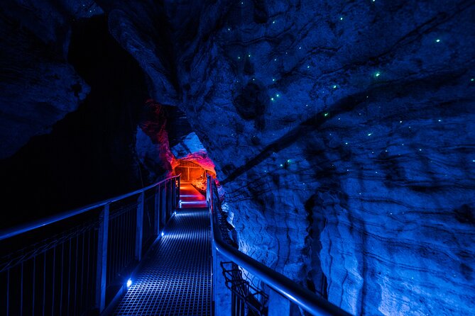 Waitomo Glowworm & Ruakuri Twin Cave Experience - Small Group Tour From Auckland - What €244.43 buys you