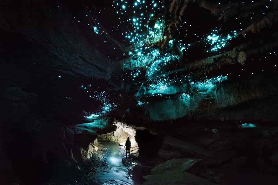 Waitomo: Guided Eco-Cave Tour - Key points at a glance