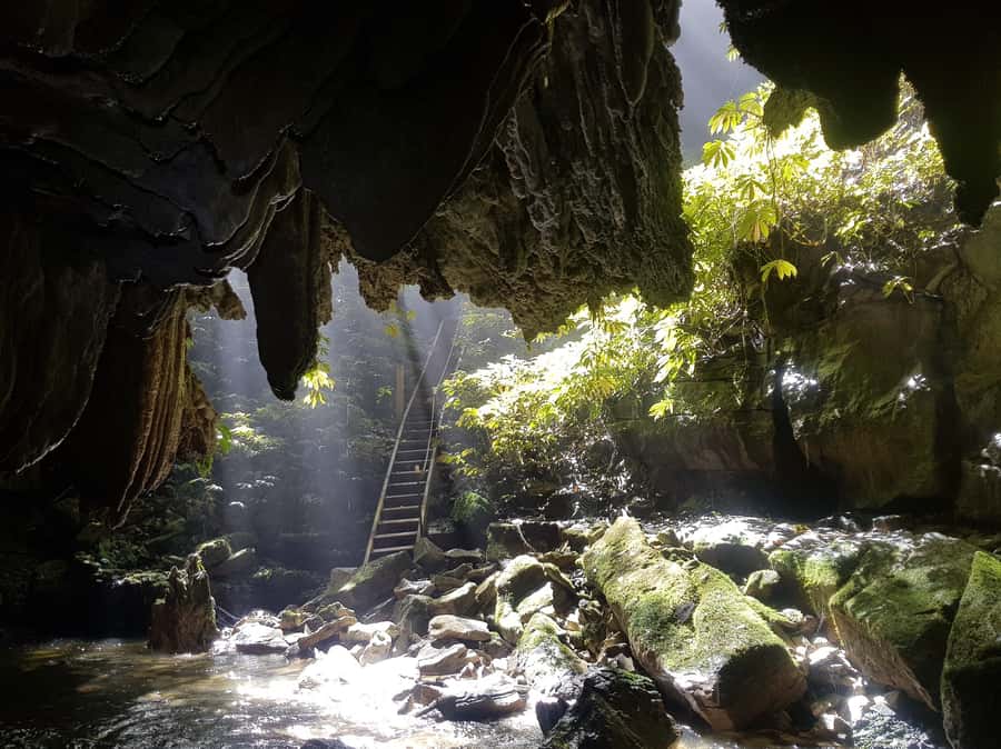 Waitomo: Guided Eco-Cave Tour - Why this Waitomo tour feels different