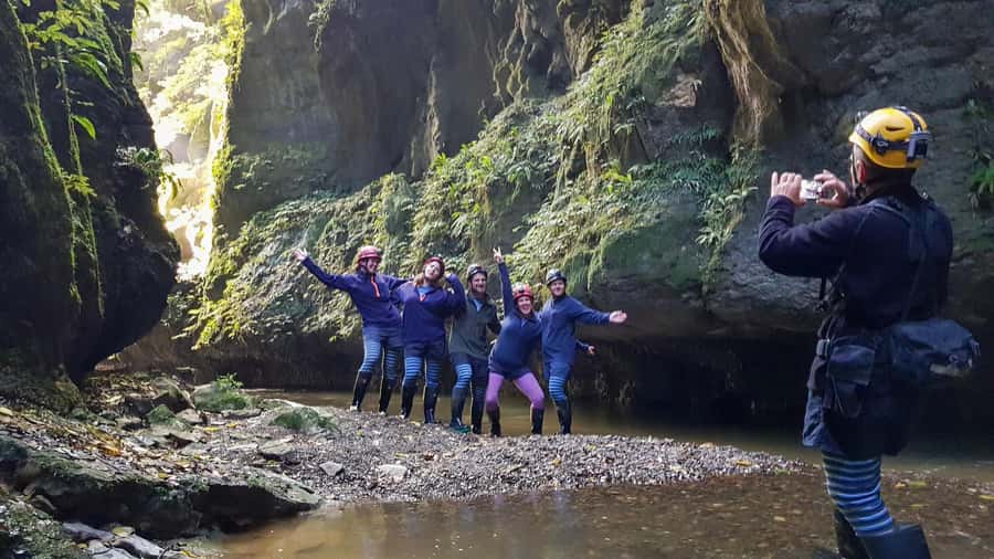 Waitomo: Guided Eco-Cave Tour - Glowworms beneath a dark ceiling