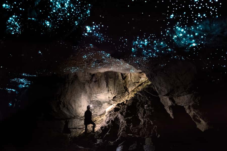 Waitomo: Guided Eco-Cave Tour - The return walk, shower, and Kiwi hospitality