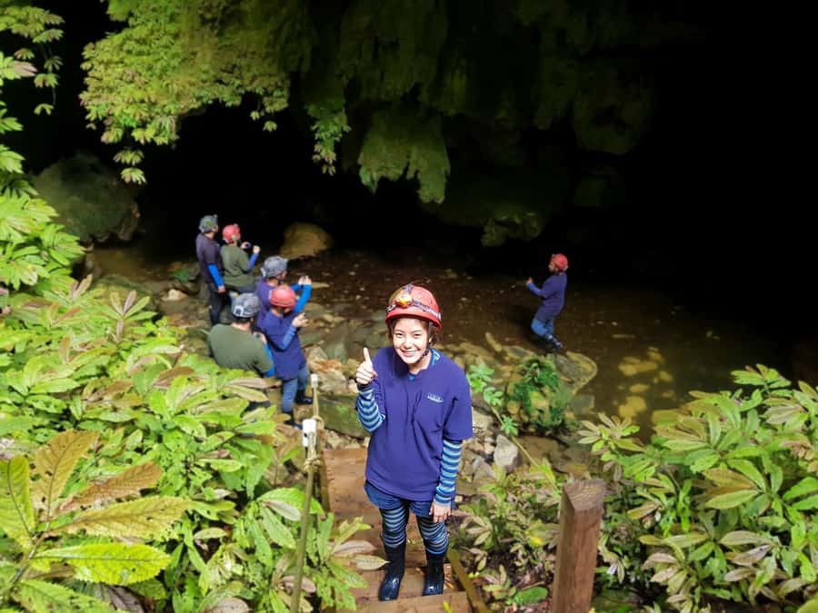 Waitomo: Guided Eco-Cave Tour - Getting to 1199 Oparure Road
