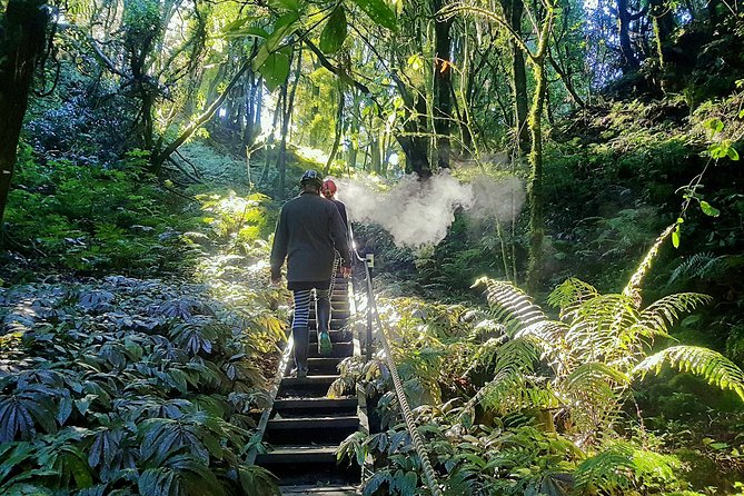 Waitomo’s Hidden Gem: Small-Group Off the Beaten Track Tour - Why this Waitomo cave tour is worth considering