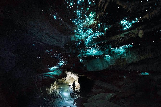 Waitomo’s Hidden Gem: Small-Group Off the Beaten Track Tour - A rugged alternative to Waitomo’s polished cave tours