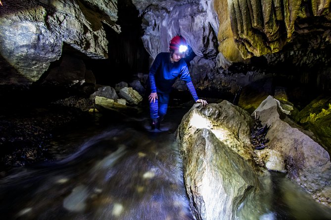 Waitomo’s Hidden Gem: Small-Group Off the Beaten Track Tour - The glowworms are the quiet reward