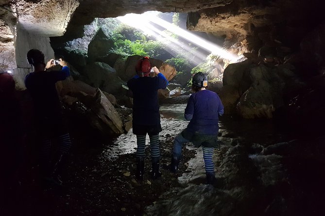 Waitomo’s Hidden Gem: Small-Group Off the Beaten Track Tour - Timing, transport, and weather