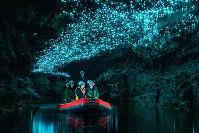Waitomo Spellbound Glowworm Caves Small Group Tour from Auckland - Key points to know before booking