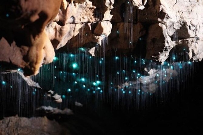 Waitomo Spellbound Glowworm Caves Small Group Tour from Auckland - Why Spellbound Cave feels different from a standard Waitomo visit