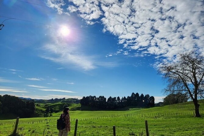 Waitomo Spellbound Glowworm Caves Small Group Tour from Auckland - Is $242.02 a fair price?
