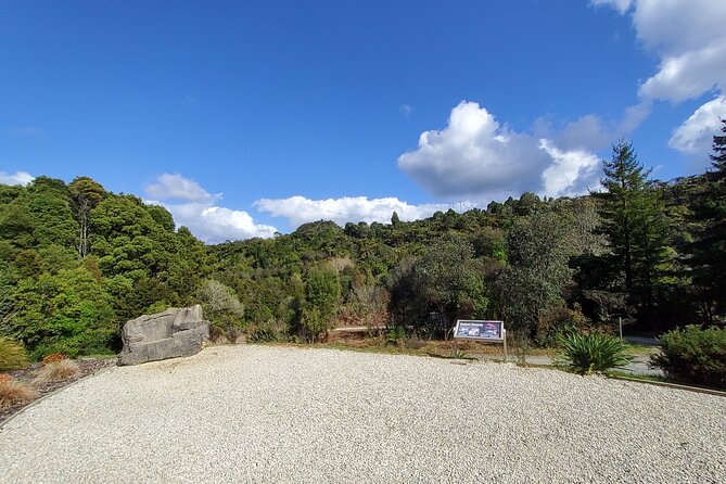 Waitomo Triple Cave Experience - Private Tour From Auckland - Aranui Cave and its delicate limestone forms