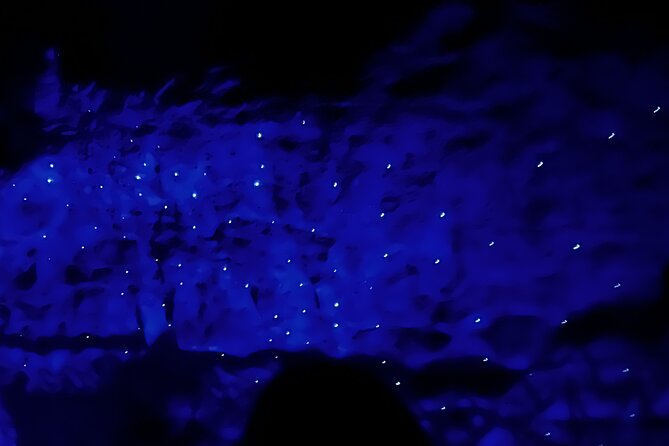 WAITOMO - Twin Caves Discovery - Private Day Tour from Auckland - The Glowworm Cave and its silent boat ride