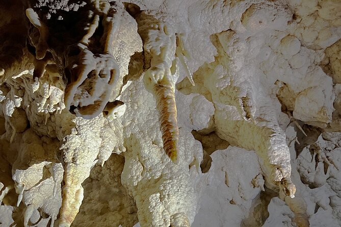 WAITOMO - Twin Caves Discovery - Private Day Tour from Auckland - A break at Waitomo Homestead