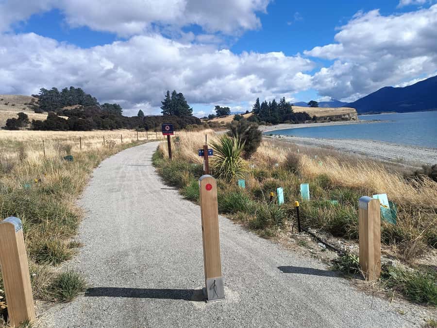 Wānaka And Hāwea: Trail Ride on Bike or E-Bike - Finishing near #ThatWanakaTree
