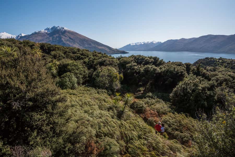 Wanaka Water Taxi Mou Waho Island Tour - Arethusa Pool and the island-in-a-lake view