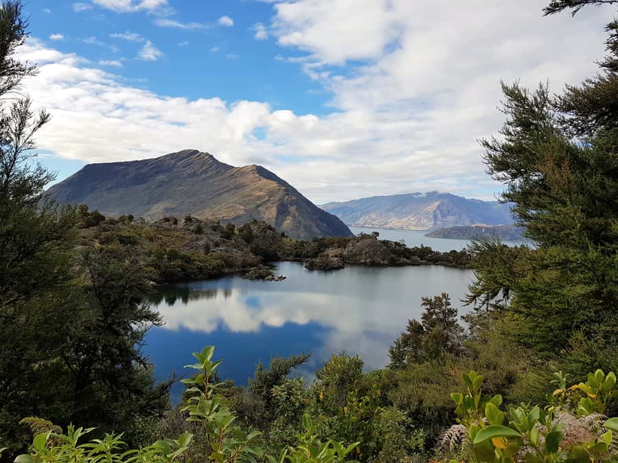 Wanaka Water Taxi Mou Waho Island Tour - Making the most of your 90 minutes