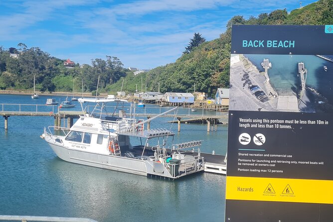 Water Taxi and Shuttle to Larnach Castle - Choosing the Right Starting Point