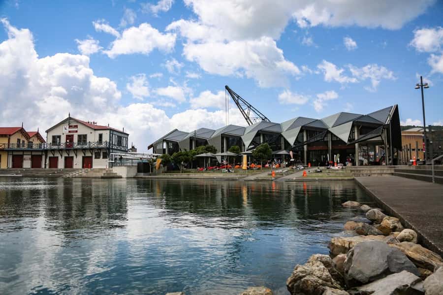 Wellington: 3 Hour Walking Food Tour - Key points to know before you book