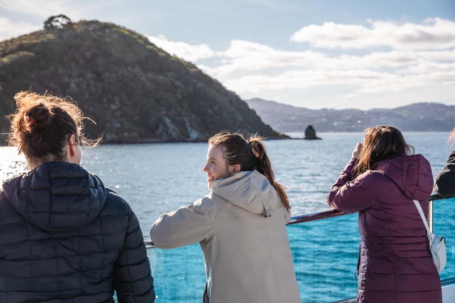 Wellington: Commentated Harbour Explorer tour - Why the electric ferry adds real value
