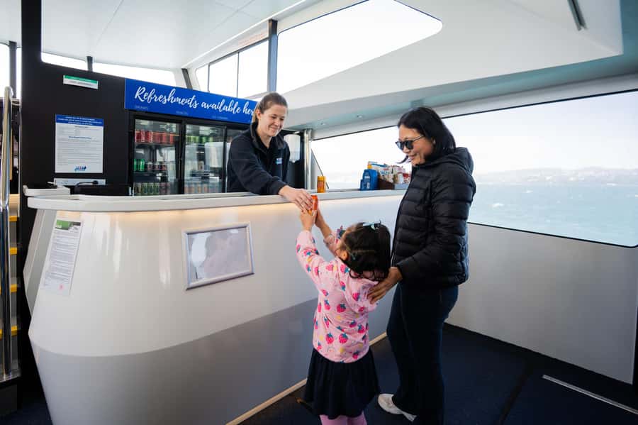 Wellington: Commentated Harbour Explorer tour - Is $41 a fair price?