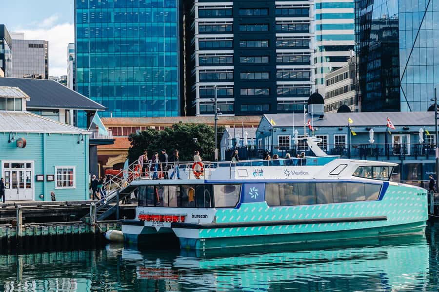 Wellington: Commentated Harbour Explorer tour - Practical tips for a smoother outing