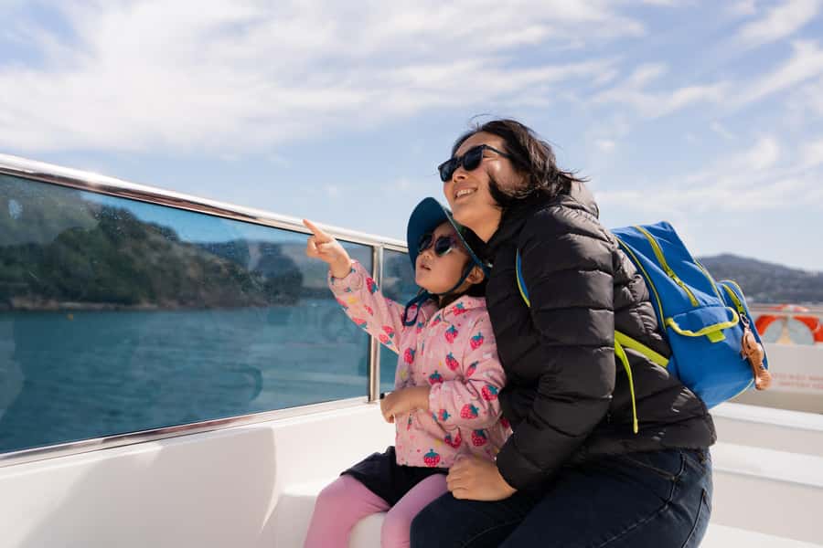 Wellington: Commentated Harbour Explorer tour - How this compares with a simple waterfront walk