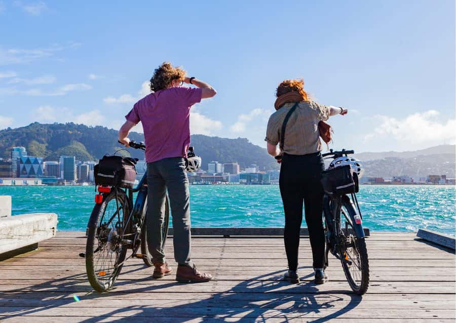 Wellington Electric Bike Rental - Miramar Peninsula and the bays