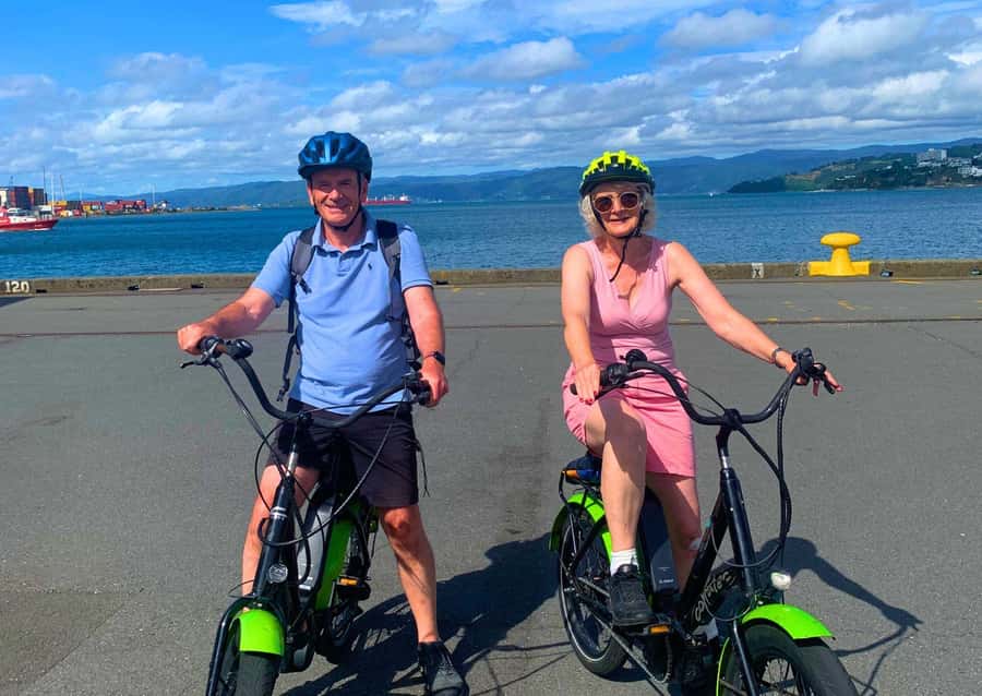 Wellington Electric Bike Rental - Mt Victoria for the city view