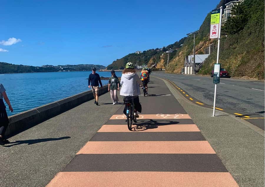 Wellington Electric Bike Rental - Weta Workshop and Zealandia