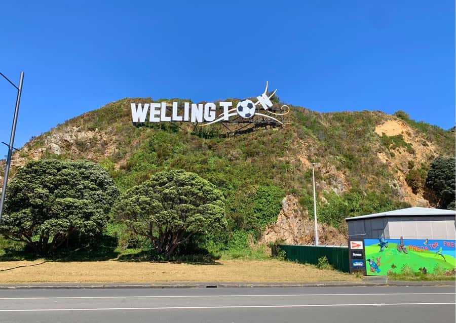 Wellington Electric Bike Rental - Pencarrow Lighthouse by ferry