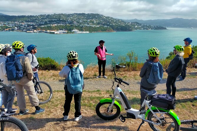 Wellington Guided eBike Tour-Cruise Shore Excursion - Key points to know before booking