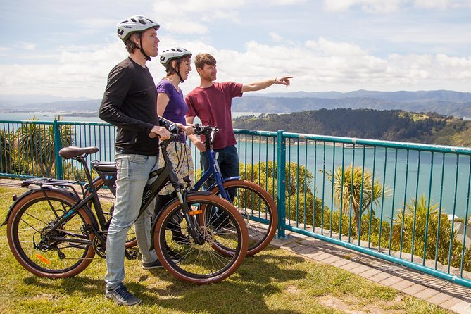 Wellington Guided eBike Tour-Cruise Shore Excursion - Meeting the guide near Chaffers Dock