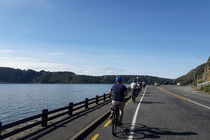 Wellington Guided eBike Tour-Cruise Shore Excursion - The guides make the ride feel local