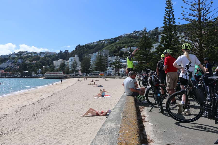 Wellington: Guided Sightseeing Tour by Electric Bike - Why an electric bike works well in Wellington
