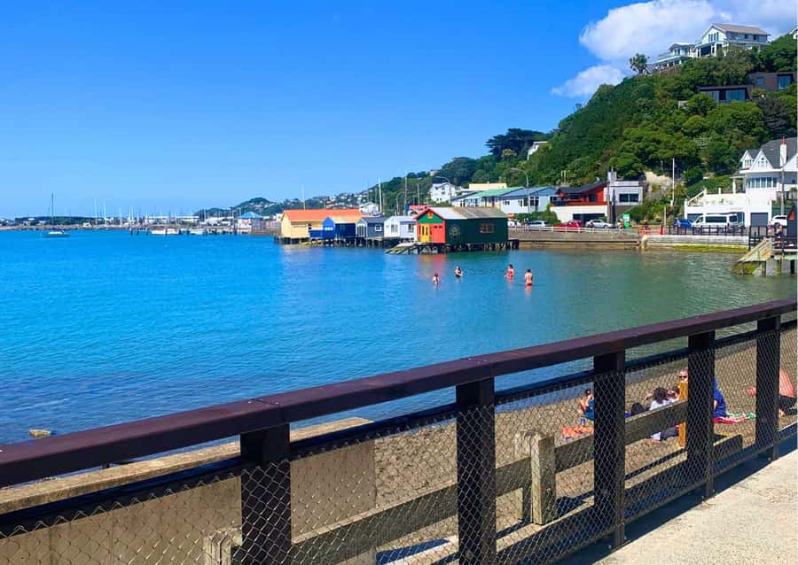 Wellington: Guided Sightseeing Tour by Electric Bike - Oriental Bay and the coastal ride