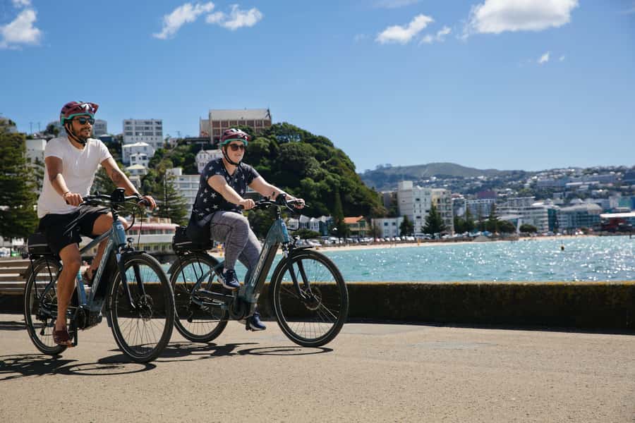 Wellington: Guided Sightseeing Tour by Electric Bike - The Miramar Peninsula: more coast, less city
