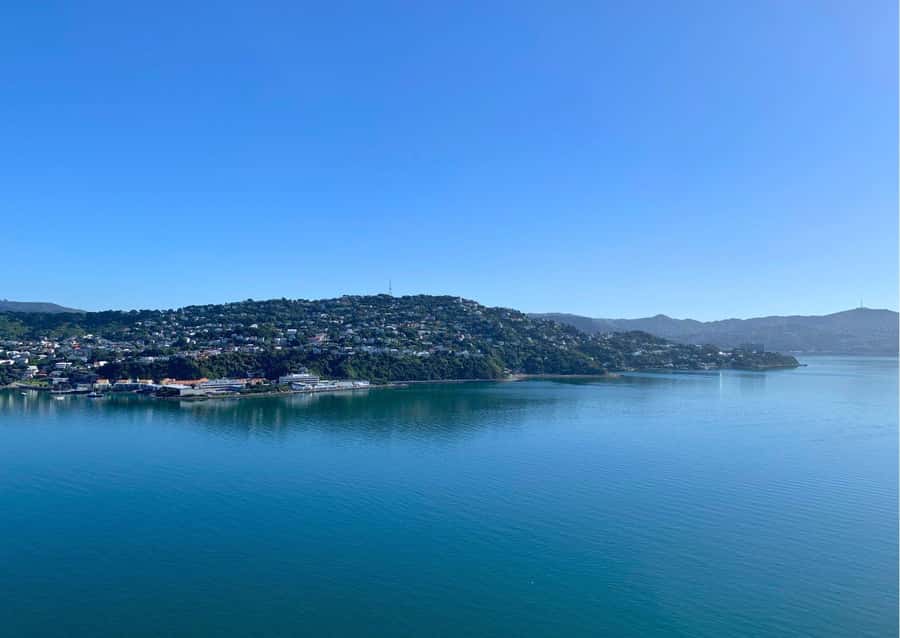 Wellington: Guided Sightseeing Tour by Electric Bike - The lookout above Wellington