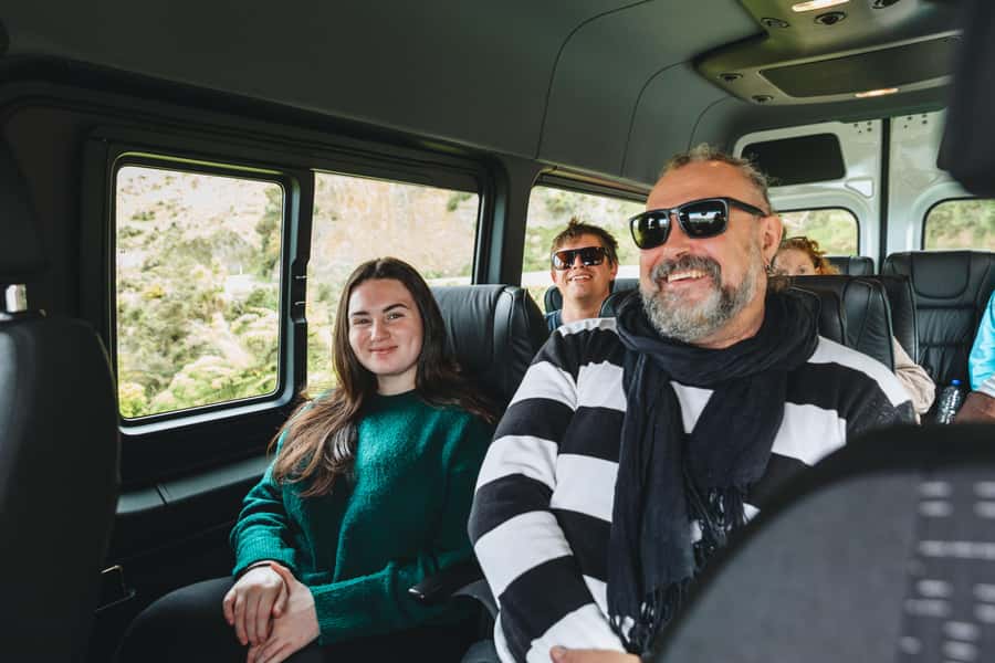 Wellington: Half Day Seal Coast Safari - Key points to know before you book