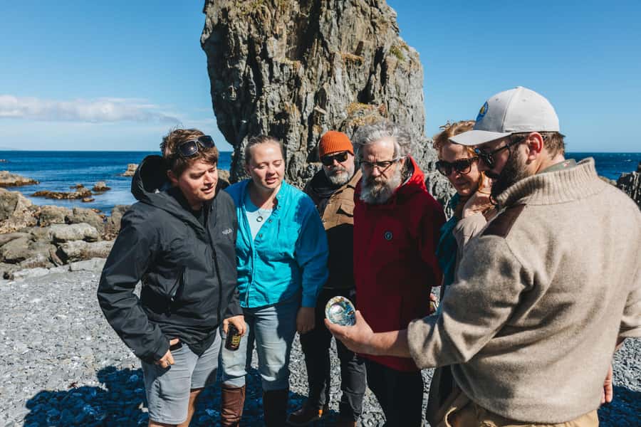 Wellington: Half Day Seal Coast Safari - Crossing Terawhiti Station by 4WD
