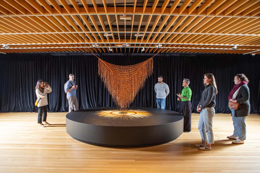 Wellington: Museum of NZ General Admission - What Te Papa Gives You in One Visit