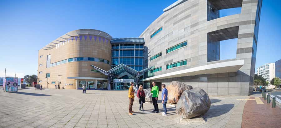 Wellington: Museum of NZ General Admission - Entering Te Papa Without the Main Queue