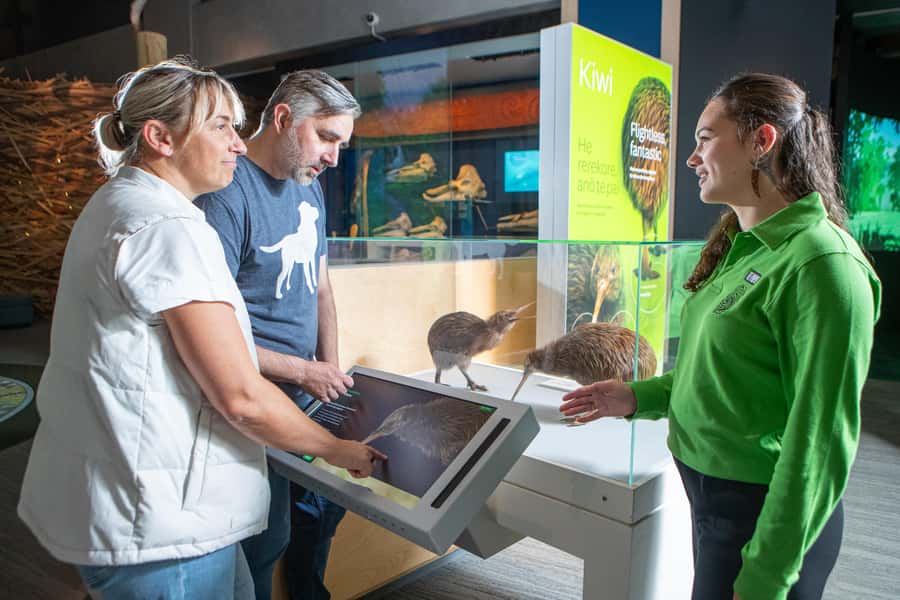 Wellington: Museum of NZ Intro Tour & General Admission - Key details before you book