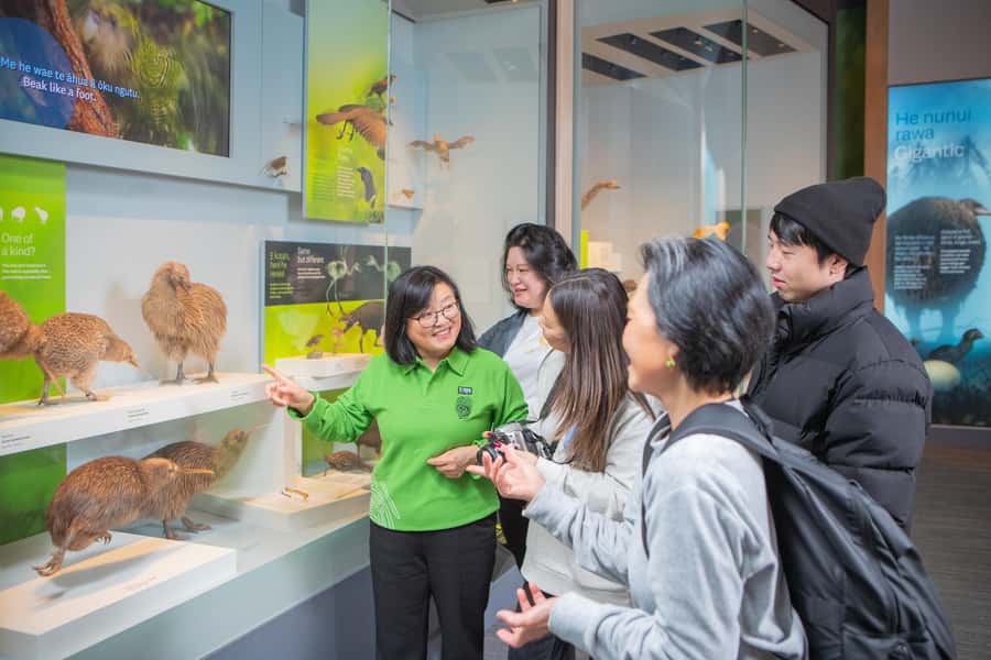 Wellington: Museum of NZ Intro Tour & General Admission - Why Te Papa is worth your Wellington time