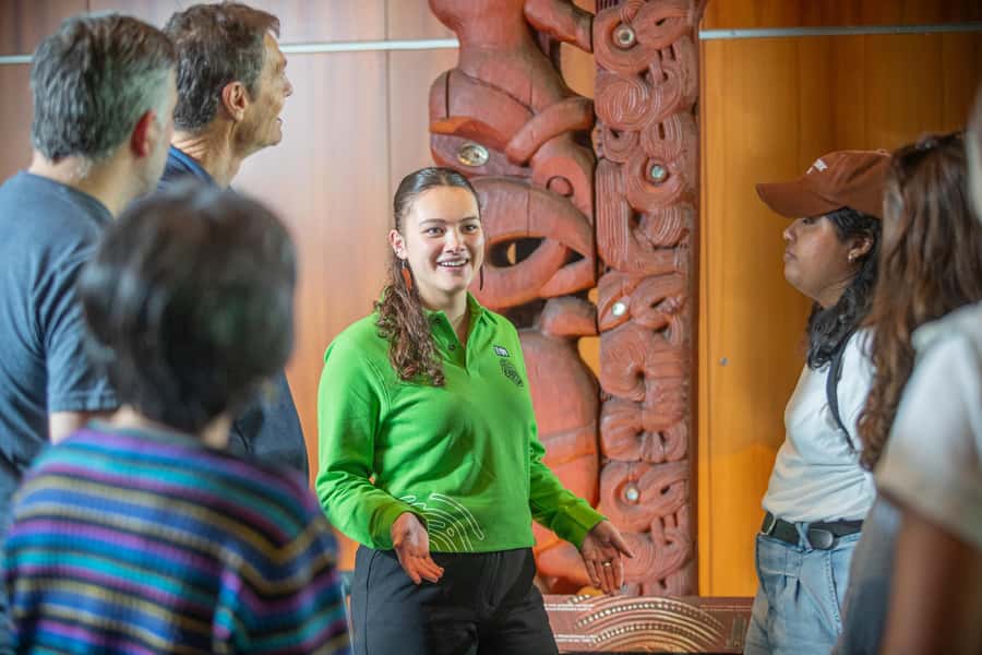 Wellington: Museum of NZ Intro Tour & General Admission - The one-hour introduction: what you actually gain