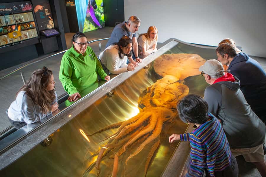 Wellington: Museum of NZ Intro Tour & General Admission - Who will enjoy this tour most