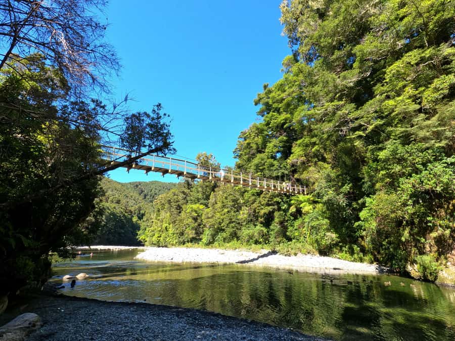 Wellington: Original LOTR Full-Day Tour with Weta & Lunch - The Gardens of Isengard and the road past Helm’s Deep
