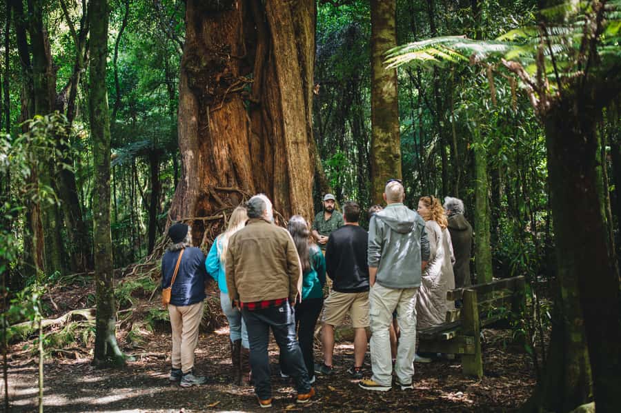 Wellington: Original LOTR Full-Day Tour with Weta & Lunch - Following Frodo through the Outer Shire