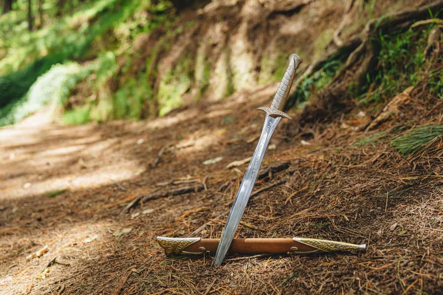 Wellington: Original LOTR Half-Day Experience with Weta - Wētā Workshop: the strongest stop for film fans